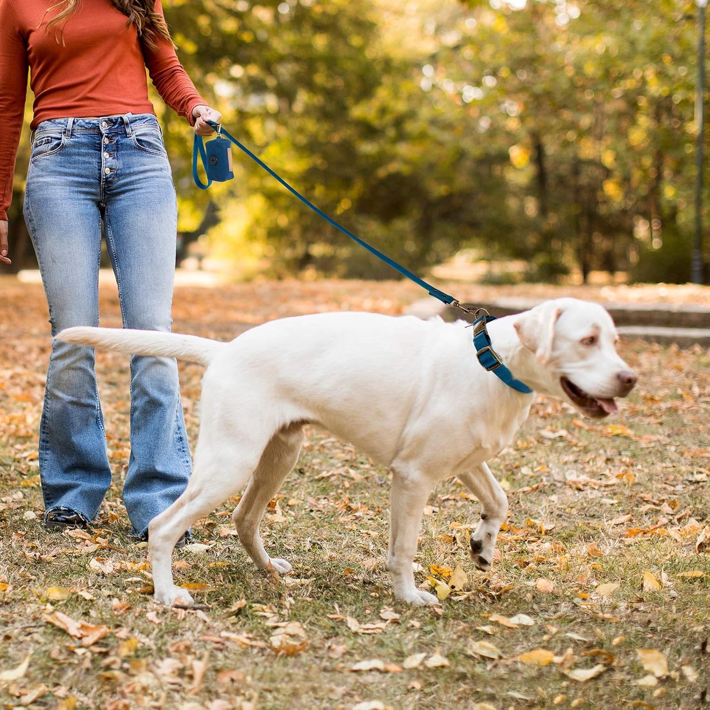 Dog Collar and Leash Set Combo: Adjustable Durable Training Pet Collars with Dog Leashes for Small Medium Large Dogs,Includes One Bonus of Poop Bag Holder (XS, Blue)