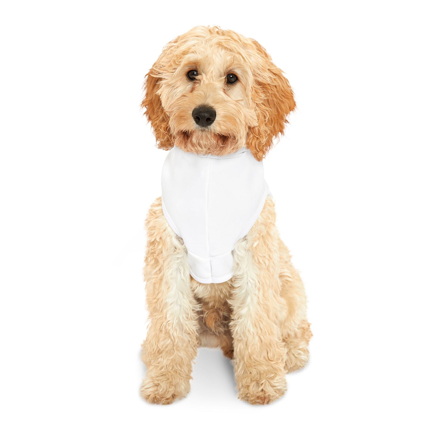 Stylish Pet Hoodie for Trendy Pups, Dog Apparel, Cozy Hooded Jacket for Pet Lovers, Power Doggies Design, Winter Dog Fashion, Puppy Gift