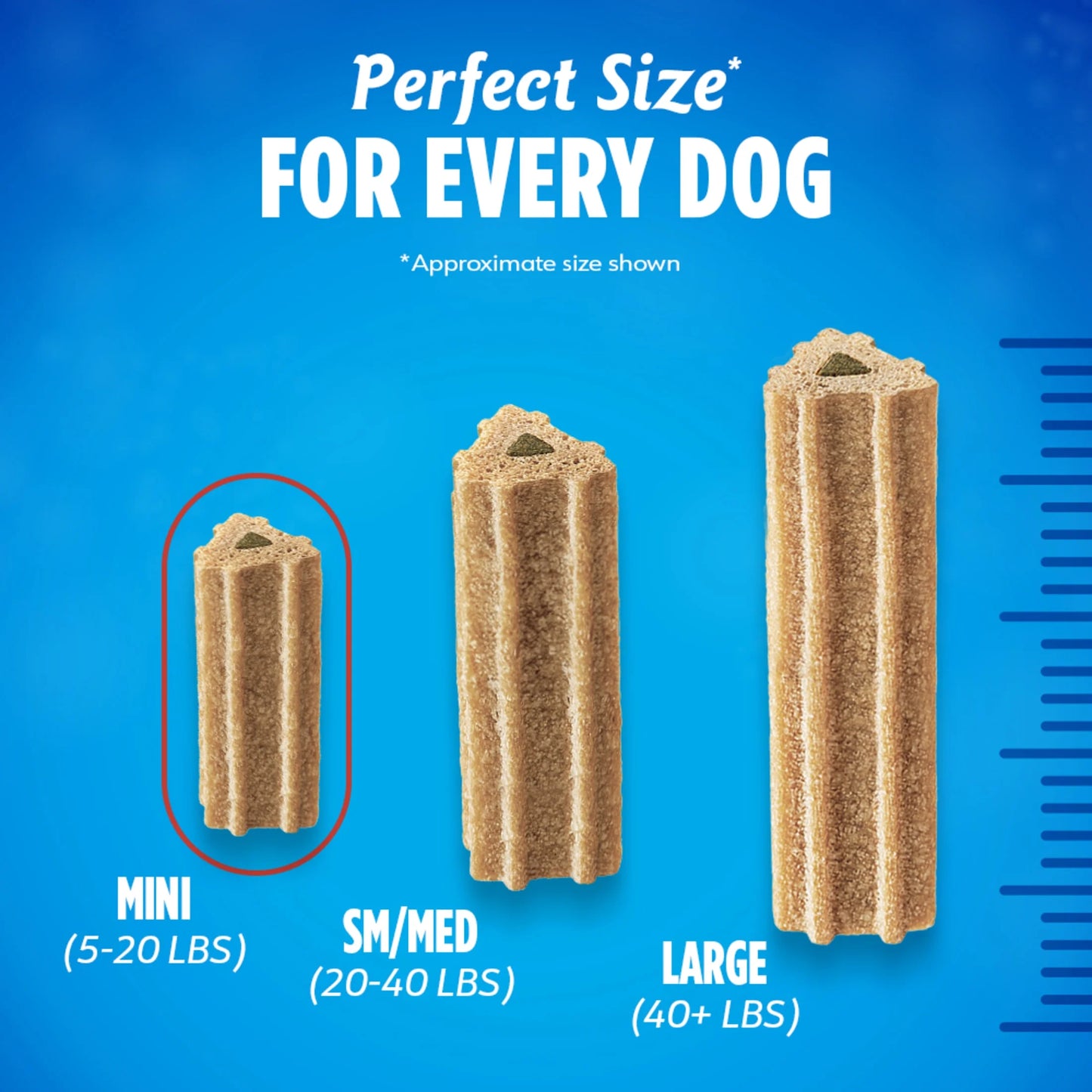 Purina Activfresh Chicken Flavor Toy Breed Adult Dental Chews for Dogs – 16.9 Oz