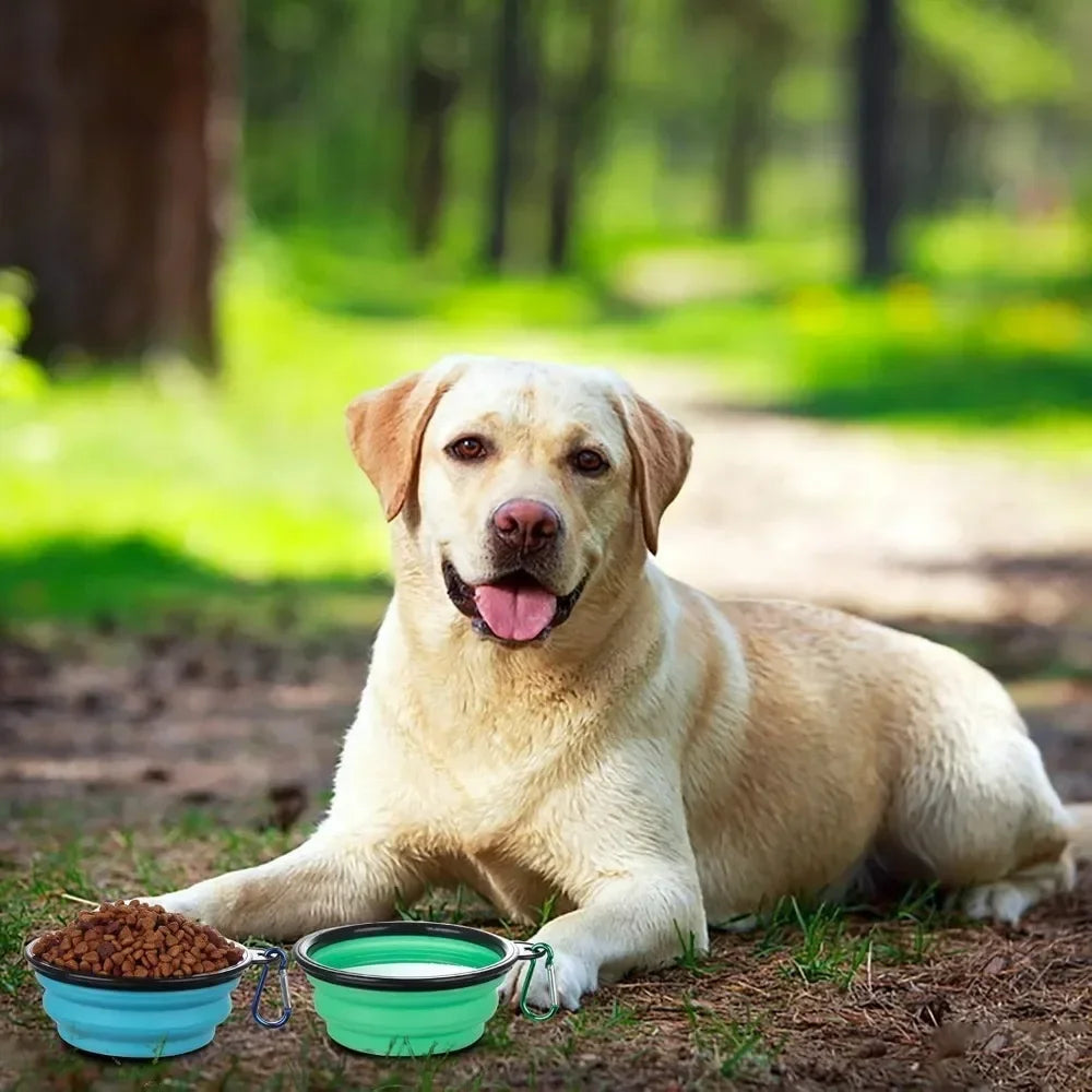 Portable Foldable Dog Bowl Outdoor Camping Travel 2-In-1 Pet Feeding and Drinking Bowl with Mountaineering Buckle Pet Supplies