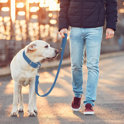 Waterproof Dog Leash – 5Ft/6Ft Adjustable with 2 Hooks & Traffic Handle, Easy to Clean Double Clip Leash for Small, Medium, Large Dogs (Navy,L)