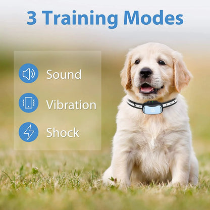 Shock Collar for Small Dogs, Large Cat Training Collar, Rechargeable Dog Shock Collar with Remote for Medium Dogs