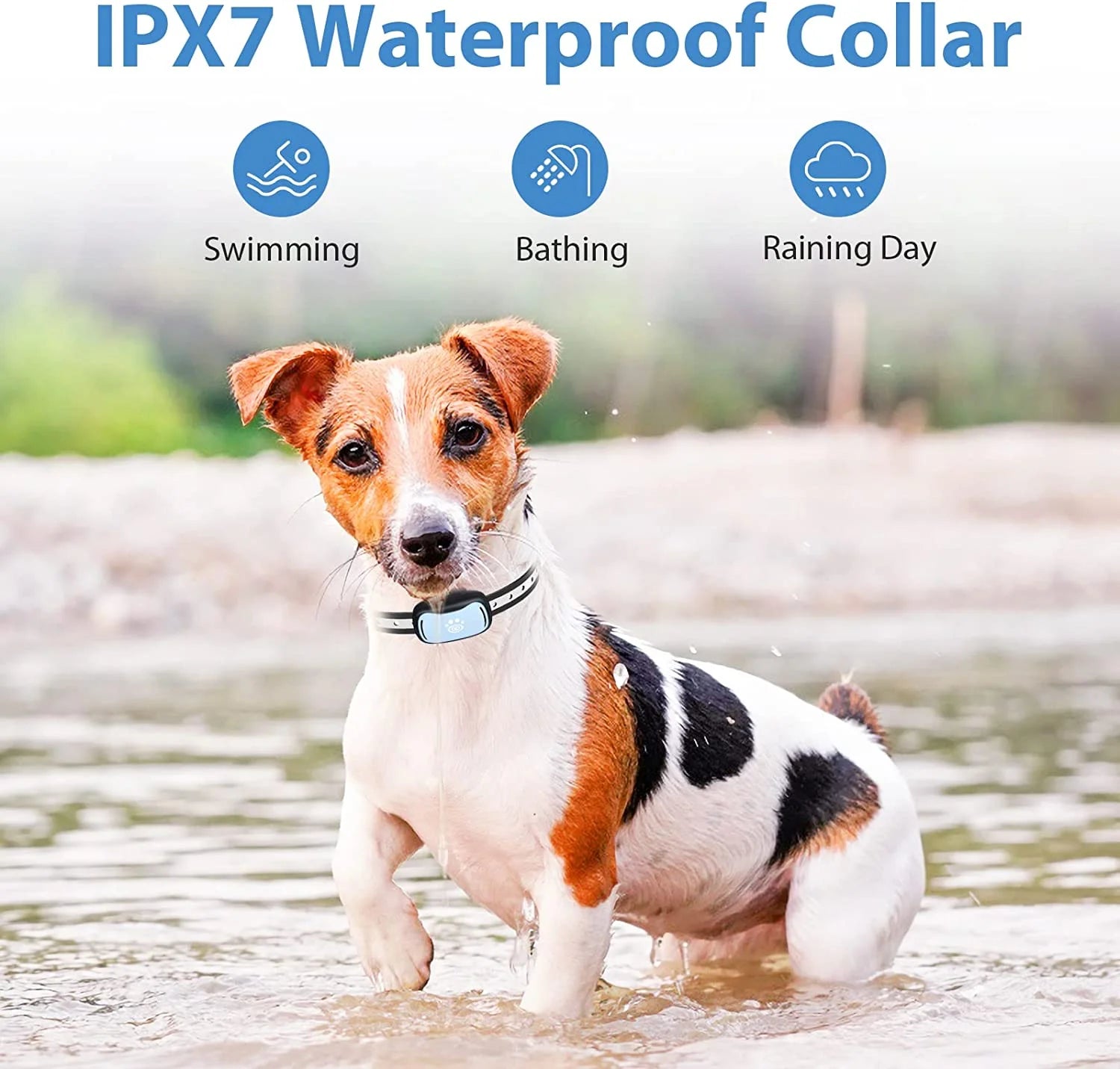 Shock Collar for Small Dogs, Large Cat Training Collar, Rechargeable Dog Shock Collar with Remote for Medium Dogs