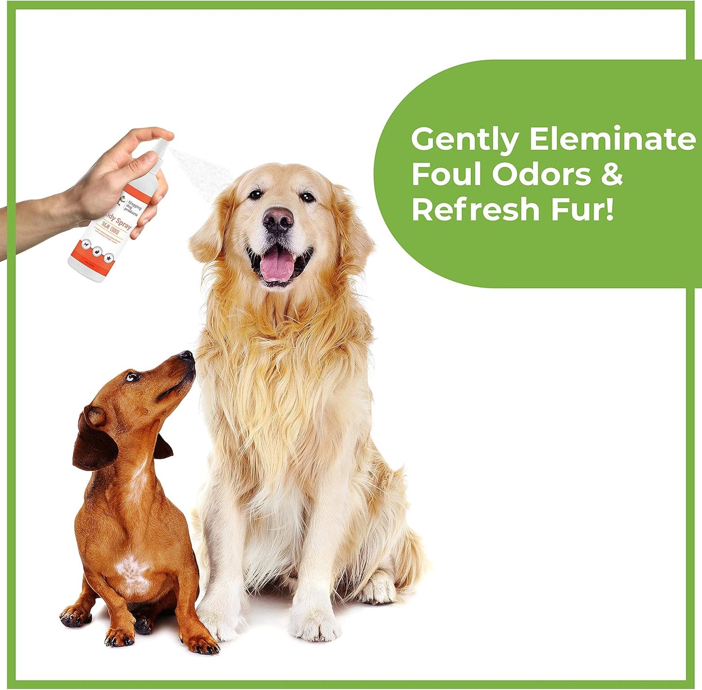 Dog Deodorizing Spray – Long-Lasting Dog Cologne & Pet Odor Eliminator – Sugar Cookie Scented Dog Perfume for Smelly Dogs – Safe, Refreshing Dog Grooming Spray