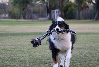 Interactive Dog Toys, Blue, Tough Twisted Rope Toy with 3 Knots