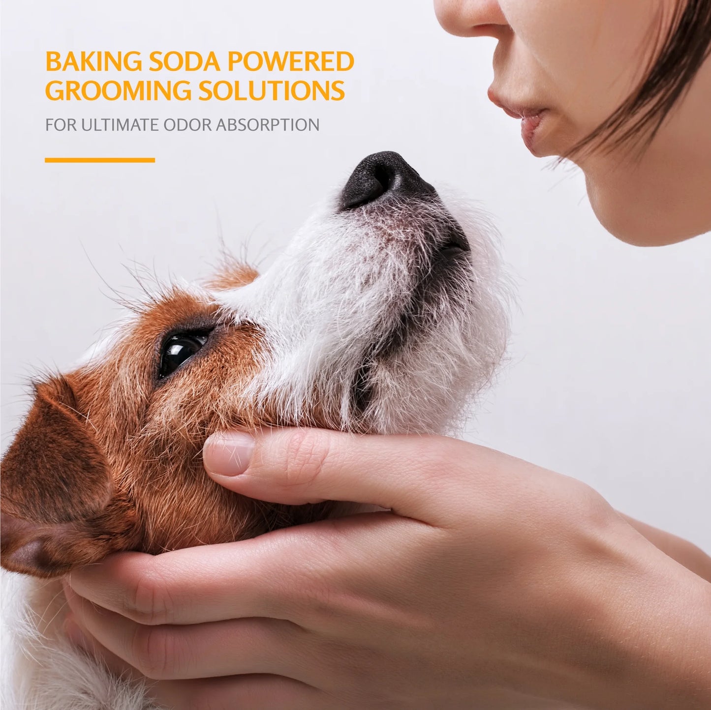 (3 Pack)  Dog Deodorizing Shampoo with Baking Soda, Kiwi Blossom Scent 20 Oz