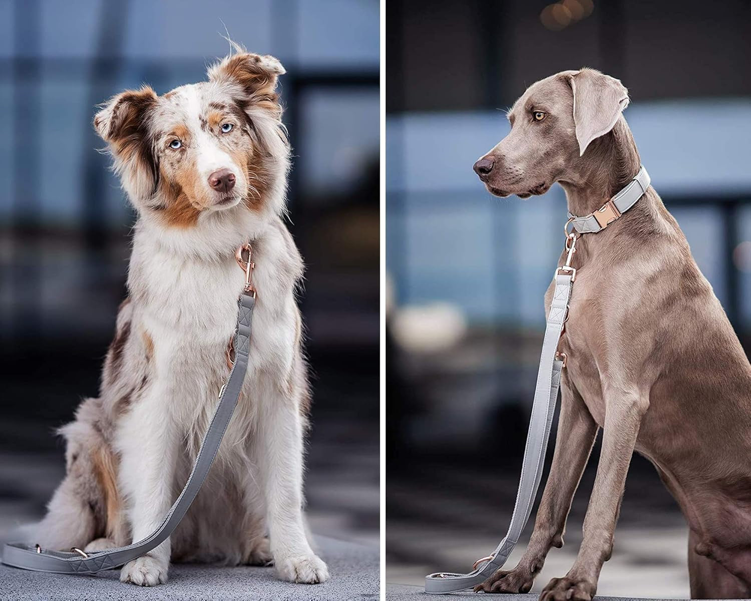 Soft Leather Dog Collar and Leash (6.6') Set - Stylish Rose Gold Heavy Duty Metal Buckle, 4 Adjustable Lengths Leash for Small Medium Large Dogs - Comfortable & Easy to Clean Grey L(15.4"-24.8")