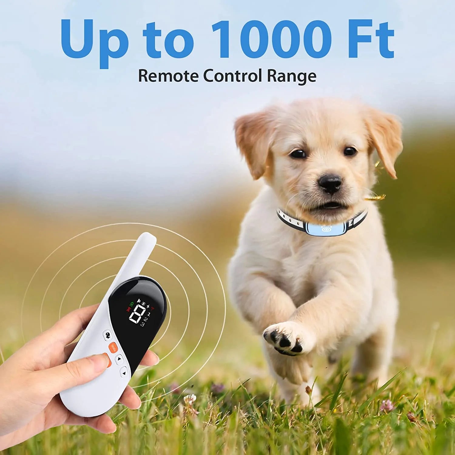 Shock Collar for Small Dogs, Large Cat Training Collar, Rechargeable Dog Shock Collar with Remote for Medium Dogs